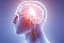 Head Muscle Nervous