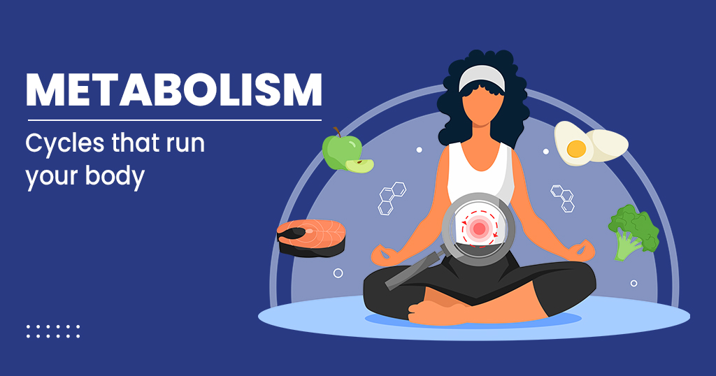 Metabolism