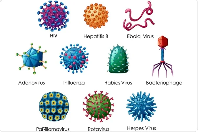 Virus